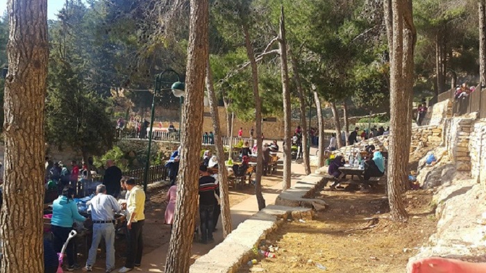 حرش ردانا (حديقة الردانا)